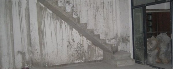 一楼潮湿如何办