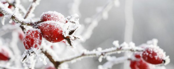 冬季如何防止静电