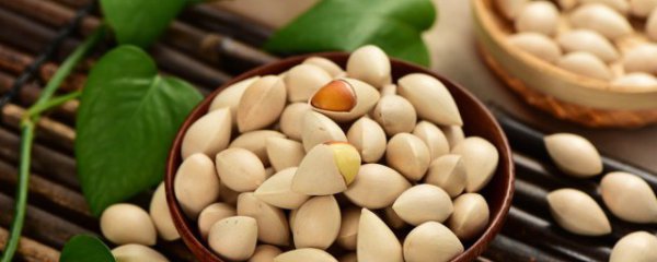 银杏果能生吃吗