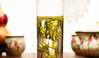 （T-W）乌龙茶属于什么茶 （T-W）乌龙茶是什么茶