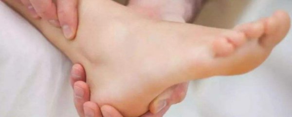 脚踝在哪