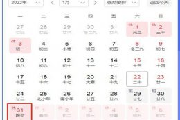 2023年春节是哪天？卫健委发布不能一刀切不让回家过年