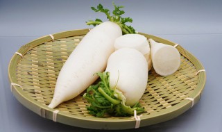 萝卜的吃法大全 萝卜的吃法大全简单介绍