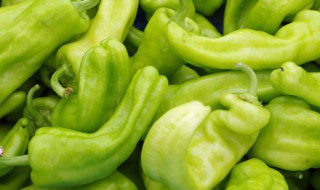 鲜青椒如何长期保留到冬天 鲜青椒如何长期保留到冬天