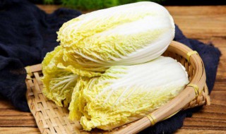 白菜如何保留新鲜 白菜如何保留新鲜