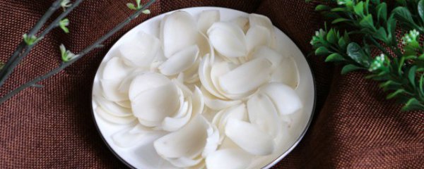 百合籽应该怎么种