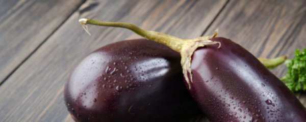秋天吃什么菜最好菜谱