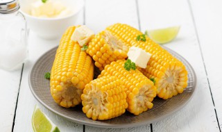 土豆玉米炖排骨的做法 土豆玉米炖排骨的烹饪方法