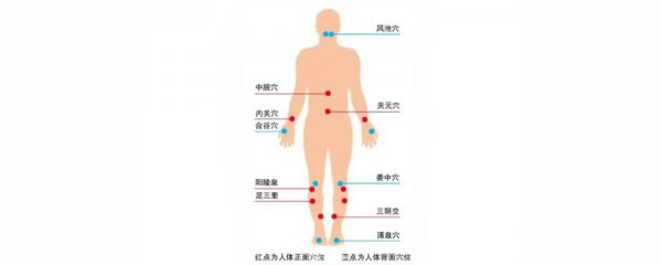 针灸减肥扎哪些部位