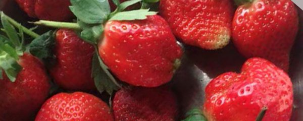 草莓能美白牙齿吗？