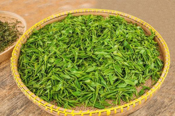 绿茶粉可以祛斑吗
