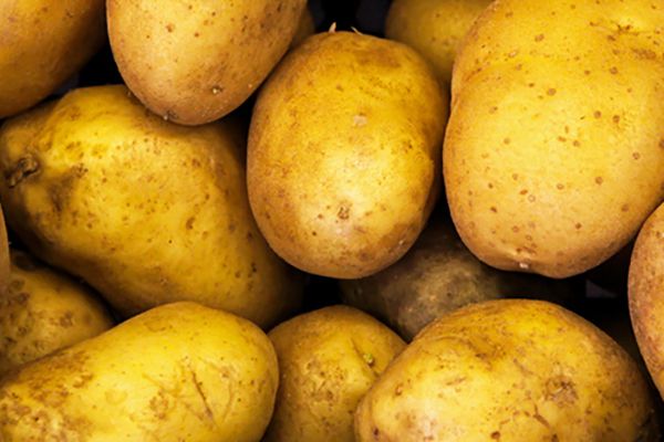 生芽的土豆能去眼袋吗