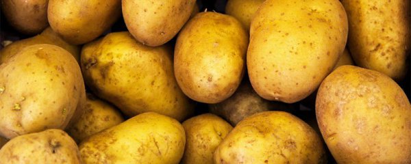 用土豆去黄褐斑的方法