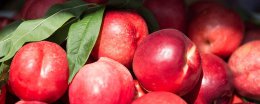 什么水果是减肥的水果