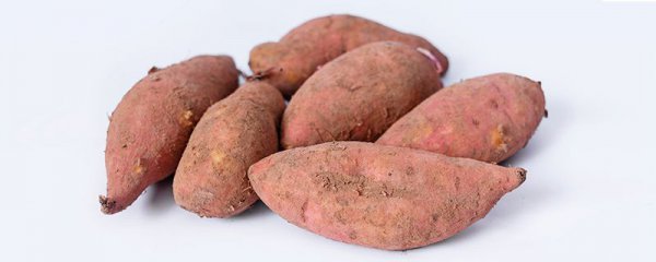 减肥吃什么主食好而且瘦的快