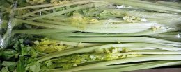 什么东西排油脂减脂肪 什么东西可以排油脂肪