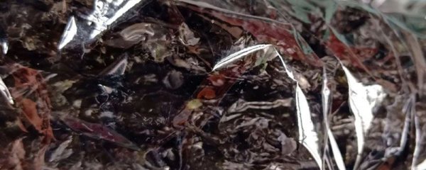 减肥期间吃什么零食