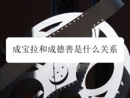 请回答1988简介 请回答1988成宝拉和成德善是什么关系