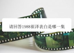 请回答1988第19集剧情 请回答1988崔泽向德善表白是哪一集