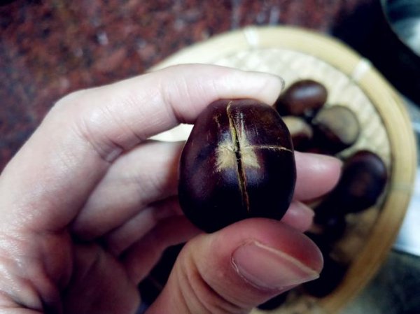 栗子煮多少分钟能熟