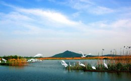 湖州市的湖指的是 湖州市的湖指的是什么湖