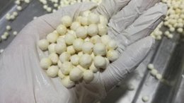 新鲜鸡头米煮多久熟 新鲜鸡头米煮制时间