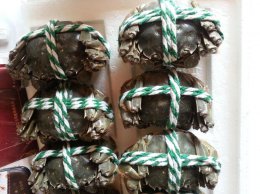 螃蟹能放冰箱吗 能将螃蟹放进冰箱吗