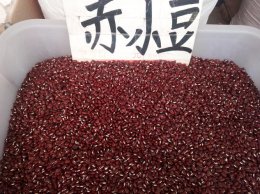 煮五红汤用什么食材 五红汤用红豆还是赤小豆