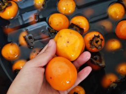 柿子太涩怎么处理 柿子涩怎么处理吃不涩