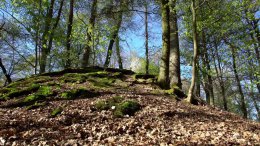 来自大自然的材料被称为 我们将直接来源于大自然的材料称为