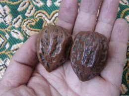 四大名核桃指的是 四大名核桃是哪四款