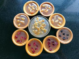 钵仔糕粉是什么 砵仔糕是什么粉做的