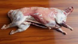羊肉颜色深红是死羊吗 羊肉颜色深红是不是死羊