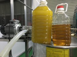 花生油是否会凝固成白色 花生油会不会凝固成白色的