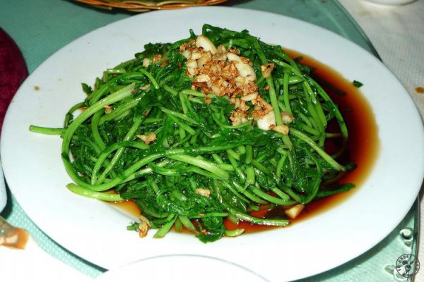 芝麻菜又叫什么菜