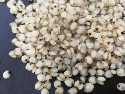 薏米需要炒熟再煮吗 薏米是否需要炒熟后再煮