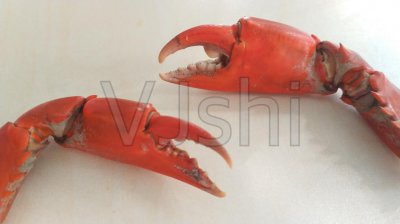 为什么螃蟹煮熟了就变成了红色 为什么螃蟹在煮的时候颜色会变红