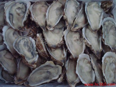 生蚝可以冷冻储存吗 生蚝可以放冰箱冷冻吗