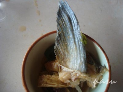鱼翅是鲨鱼的哪里 鱼翅是什么鱼的哪个部位