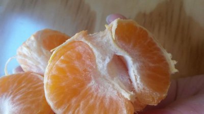 橘子皮上的白色粉末是什么 橘子皮上面的白色粉末是什么