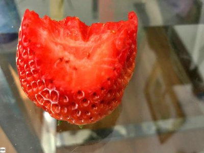 冬天吃草莓的原因 为什么现在都是冬天吃草莓