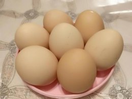 冬天鸡蛋要放冰箱保存吗 冬天鸡蛋是否需要放冰箱