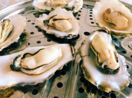 生蚝清蒸需要去内脏吗 蒸的生蚝怎么吃需要去内脏吗