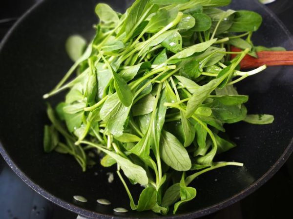 鸡毛菜又叫什么菜