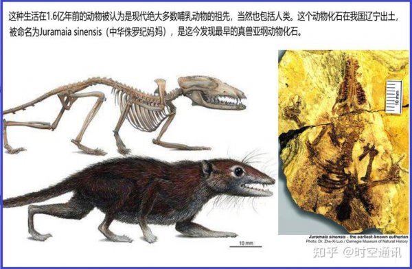 地球最早出现的生物是什么
