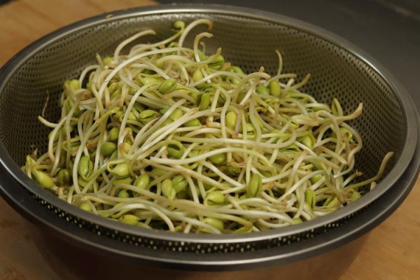 发豆芽为什么要避光