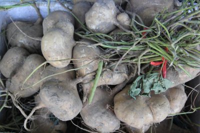 红薯属于蔬菜类吗 红薯属于蔬菜类吗？