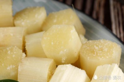甘蔗煮水要去皮吗 甘蔗煮水要不要去皮