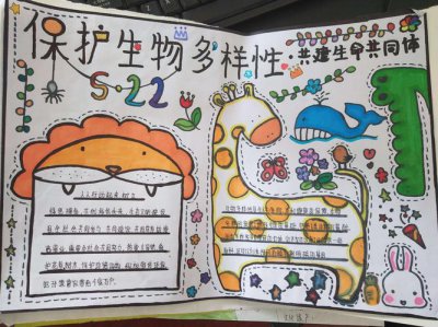 保护生物多样性的意义 保护生物多样性的意义是