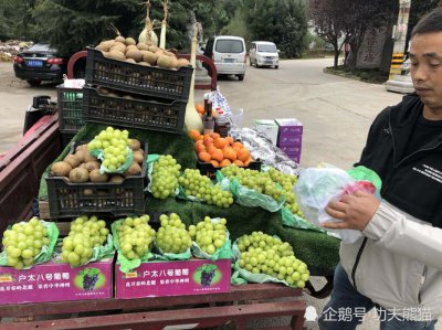 水果可以托运吗 水果是否能托运